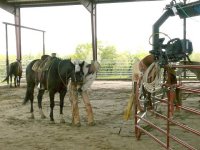 Beeville, TX - Production Stills 7 Clinics with Buck Brannaman
