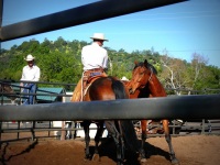 Chico, CA,  Production stills - 7 Clinics with Buck Brannaman