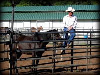 Chico, CA,  Production stills - 7 Clinics with Buck Brannaman