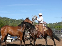 Chico, CA,  Production stills - 7 Clinics with Buck Brannaman