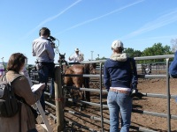 Chico, CA,  Production stills - 7 Clinics with Buck Brannaman