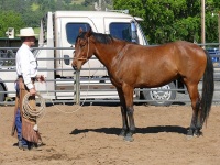 Chico, CA,  Production stills - 7 Clinics with Buck Brannaman