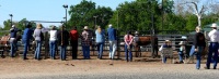Chico, CA,  Production stills - 7 Clinics with Buck Brannaman