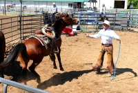 Chico, CA,  Production stills - 7 Clinics with Buck Brannaman