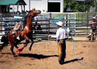 Chico, CA,  Production stills - 7 Clinics with Buck Brannaman