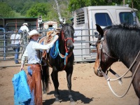 Chico, CA,  Production stills - 7 Clinics with Buck Brannaman
