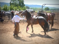 Chico, CA,  Production stills - 7 Clinics with Buck Brannaman