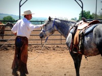 Chico, CA,  Production stills - 7 Clinics with Buck Brannaman