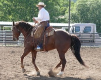 Chico, CA,  Production stills - 7 Clinics with Buck Brannaman