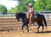 Chico, CA,  Production stills - 7 Clinics with Buck Brannaman