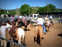 Chico, CA,  Production stills - 7 Clinics with Buck Brannaman