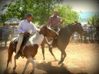 Chico, CA,  Production stills - 7 Clinics with Buck Brannaman