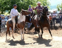 Chico, CA,  Production stills - 7 Clinics with Buck Brannaman