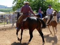 Chico, CA,  Production stills - 7 Clinics with Buck Brannaman