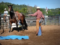Chico, CA,  Production stills - 7 Clinics with Buck Brannaman