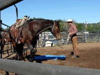 Chico, CA,  Production stills - 7 Clinics with Buck Brannaman