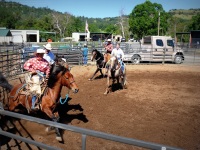 Chico, CA,  Production stills - 7 Clinics with Buck Brannaman