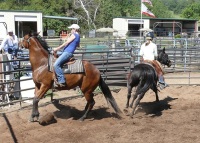 Chico, CA,  Production stills - 7 Clinics with Buck Brannaman