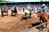 Chico, CA,  Production stills - 7 Clinics with Buck Brannaman