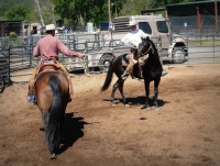 Chico, CA,  Production stills - 7 Clinics with Buck Brannaman