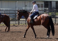 Chico, CA,  Production stills - 7 Clinics with Buck Brannaman