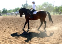 Chico, CA,  Production stills - 7 Clinics with Buck Brannaman