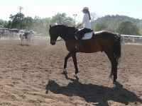 Chico, CA,  Production stills - 7 Clinics with Buck Brannaman