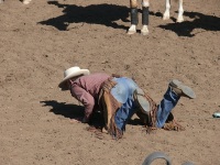 Chico, CA,  Production stills - 7 Clinics with Buck Brannaman