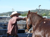 Chico, CA,  Production stills - 7 Clinics with Buck Brannaman