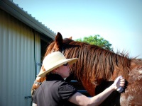 Chico, CA,  Production stills - 7 Clinics with Buck Brannaman