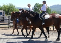 Chico, CA,  Production stills - 7 Clinics with Buck Brannaman