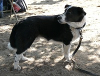 Chico, CA,  Production stills - 7 Clinics with Buck Brannaman