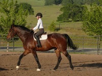 Chico, CA,  Production stills - 7 Clinics with Buck Brannaman