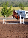 Chico, CA,  Production stills - 7 Clinics with Buck Brannaman