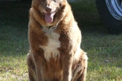 McGinnis Meadows, Libby, MT - Production stills - 7 Clinics with Buck Brannaman