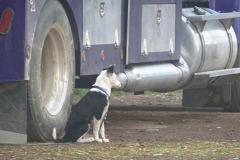 McGinnis Meadows, Libby, MT - Production stills - 7 Clinics with Buck Brannaman