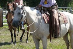 McGinnis Meadows, Libby, MT - Production stills - 7 Clinics with Buck Brannaman