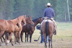 McGinnis Meadows, Libby, MT - Production stills - 7 Clinics with Buck Brannaman