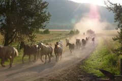 McGinnis Meadows, Libby, MT - Production stills - 7 Clinics with Buck Brannaman