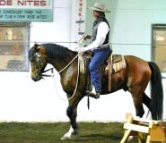Spanaway, WA.  Production stills, 7 Clinics with Buck Brannaman