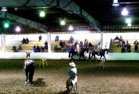 Spanaway, WA.  Production stills, 7 Clinics with Buck Brannaman