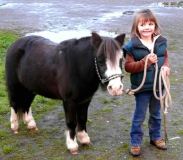 Spanaway, WA.  Production stills, 7 Clinics with Buck Brannaman