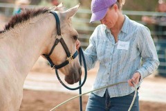 Staley Ranch - Production Stills 7 Clinics with Buck Brannaman