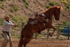 Staley Ranch - Production Stills 7 Clinics with Buck Brannaman