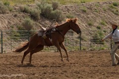 Staley Ranch - Production Stills 7 Clinics with Buck Brannaman