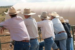 Staley Ranch - Production Stills 7 Clinics with Buck Brannaman