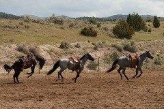 Staley Ranch - Production Stills 7 Clinics with Buck Brannaman