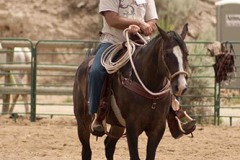 Staley Ranch - Production Stills 7 Clinics with Buck Brannaman