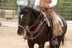Staley Ranch - Production Stills 7 Clinics with Buck Brannaman
