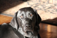 Production Still from Templeton Thompson"Get That Pony Rode" Music Video Shoot© 2012 Jen Stamps